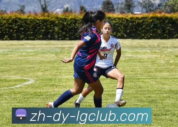 老哥俱乐部官网平台生态图