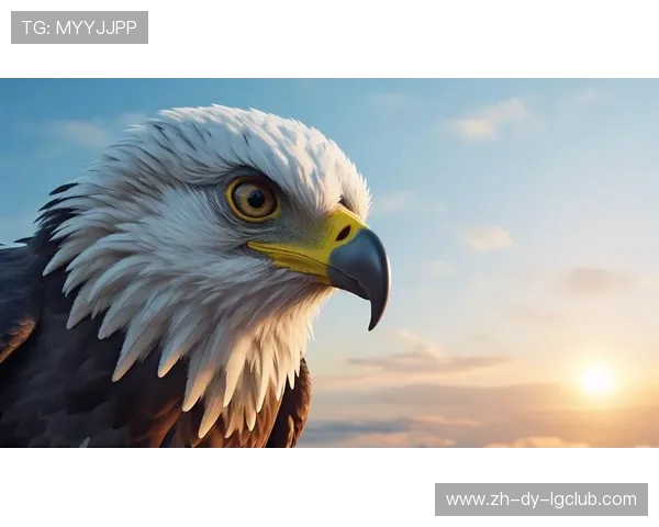 惊险有趣的鸵鸟赛跑踢足球精彩极限对决全程记录呈现震撼瞬间画面