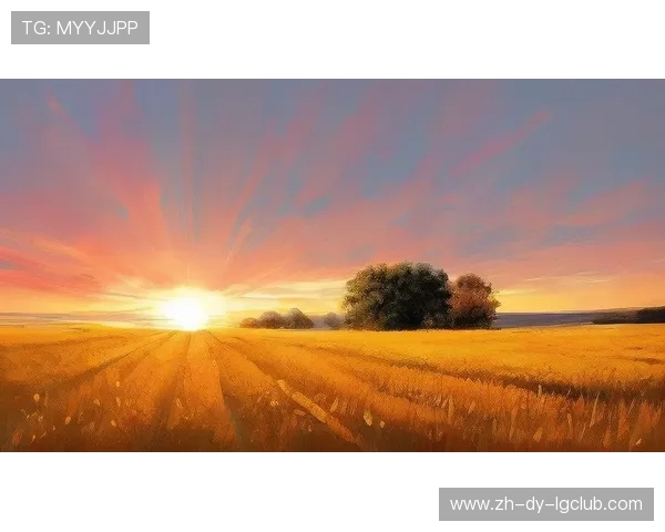 绿茵场上错过的拥抱诉说爱情的遗憾与岁月中不灭的勇气与梦想光芒